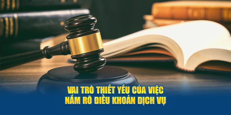 Vai trò thiết yếu của việc nắm rõ điều khoản dịch vụ